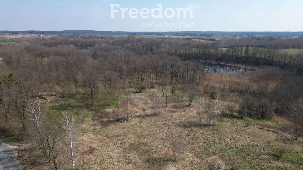 Działka budowlana na sprzedaż Siedliska  27 539m2 Foto 1