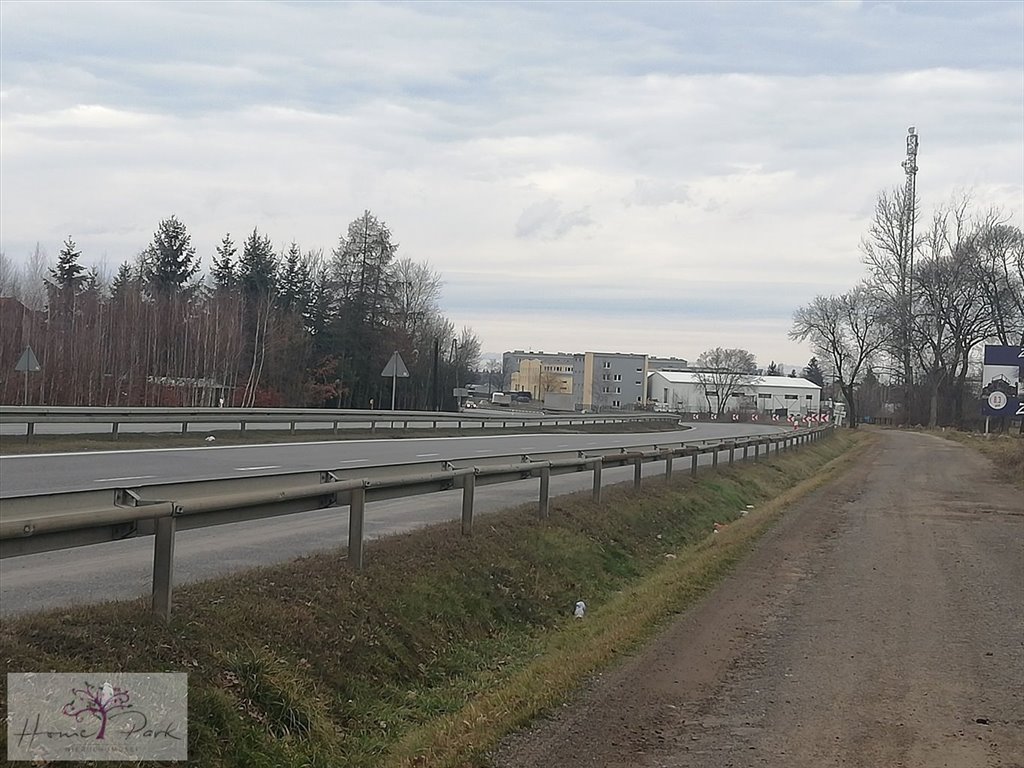 Działka budowlana na sprzedaż Tuszynek Majoracki  6 000m2 Foto 3