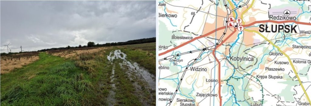 Działka na sprzedaż 9 900 m² w Widzino – atrakcyjny przetarg! Widzino  9 900m2 Foto 1