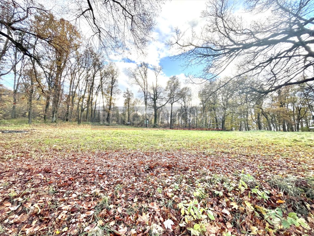 Lokal użytkowy na sprzedaż Sobótka, Armii Krajowej  541m2 Foto 19