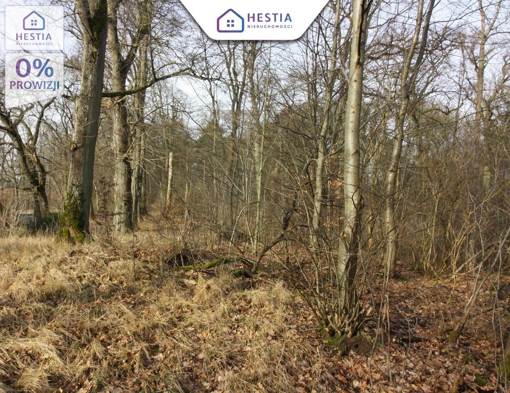 Lokal użytkowy na sprzedaż Storkowo  800m2 Foto 18