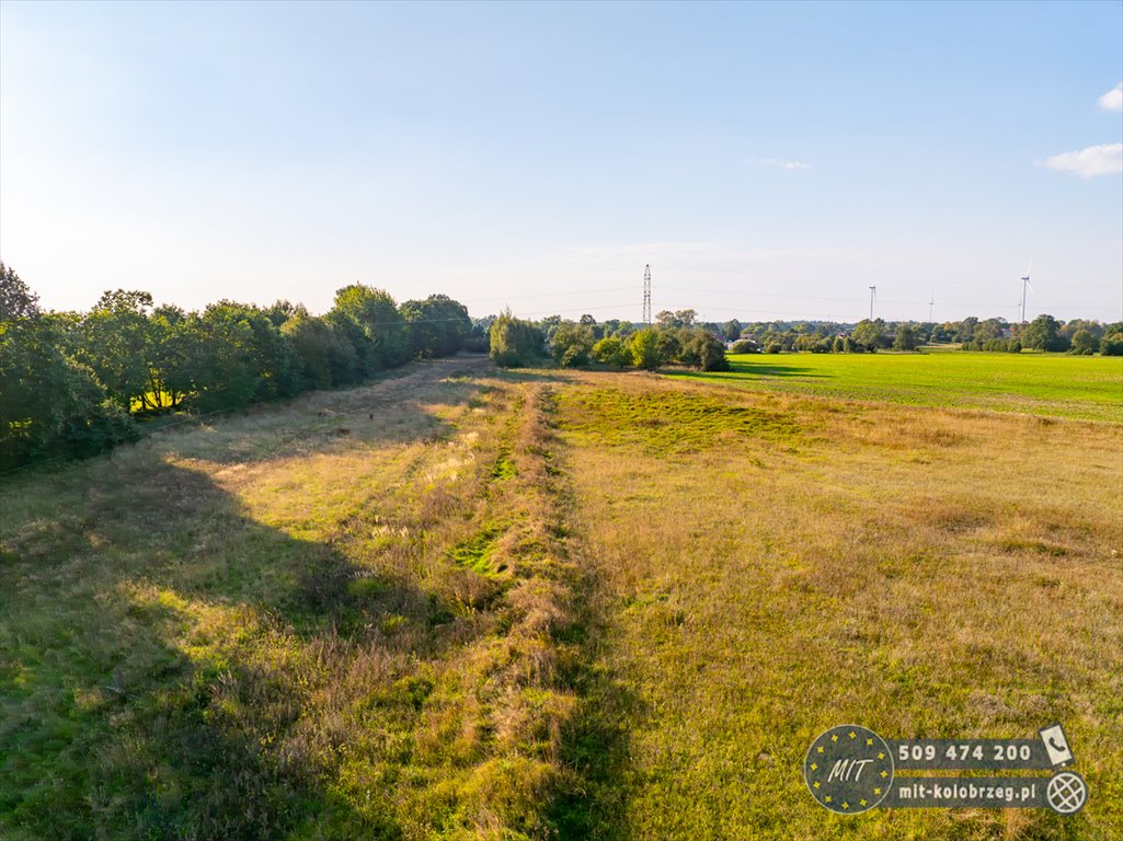 Działka budowlana na sprzedaż Daszewo  1 222m2 Foto 6