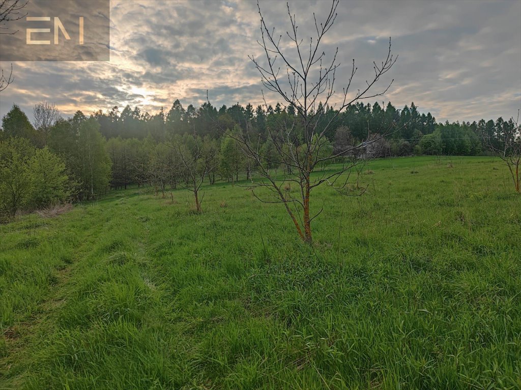 Działka budowlana na sprzedaż Hadle Kańczuckie  3 300m2 Foto 7