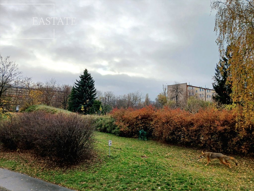 Mieszkanie dwupokojowe na sprzedaż Gdańsk, Przymorze, Piastowska  45m2 Foto 4