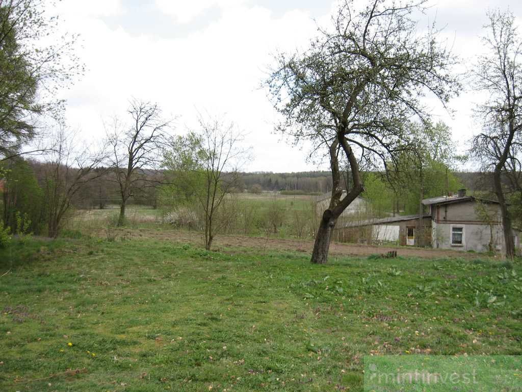 Działka rolna na sprzedaż Gola Dolna  19 800m2 Foto 5