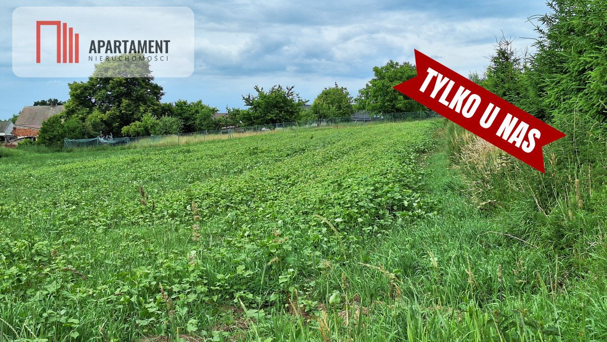 Działka budowlana na sprzedaż Garczyn  4 130m2 Foto 7