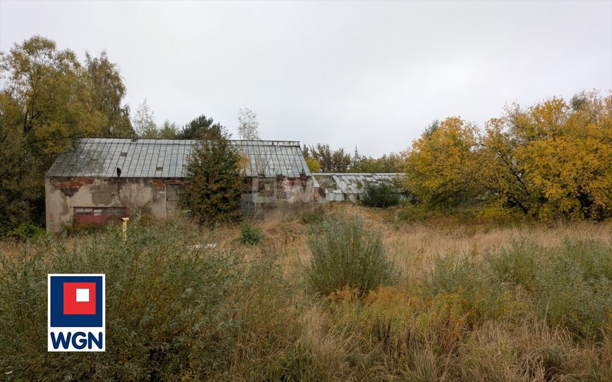 Działka budowlana na sprzedaż Ostrów Wielkopolski, Kamienna  4 967m2 Foto 1