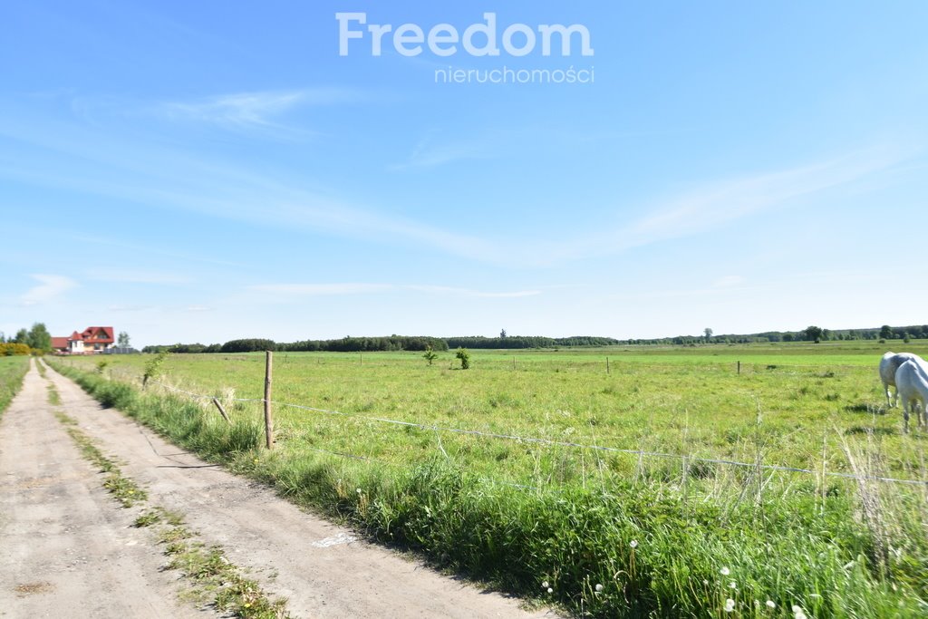 Działka budowlana na sprzedaż Wydrzyn  1 000m2 Foto 3