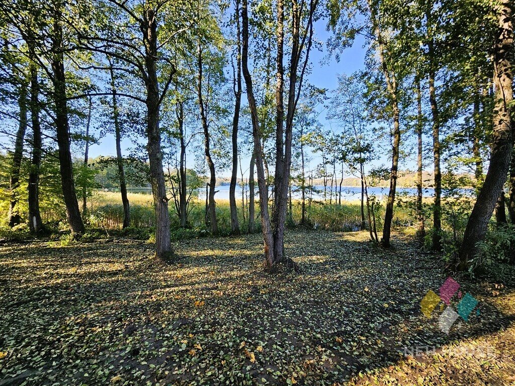 Działka siedliskowa na sprzedaż Cerkiewnik  15 220m2 Foto 6