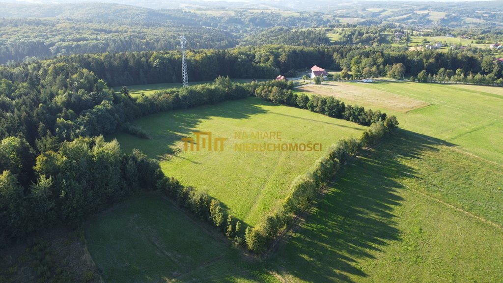 Działka budowlana na sprzedaż Lecka  22 027m2 Foto 2