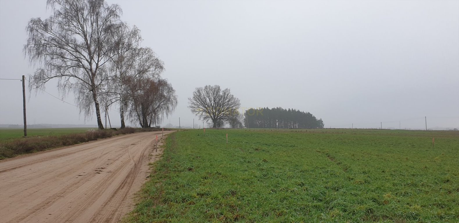 Działka budowlana na sprzedaż Rynarzewo  928m2 Foto 1