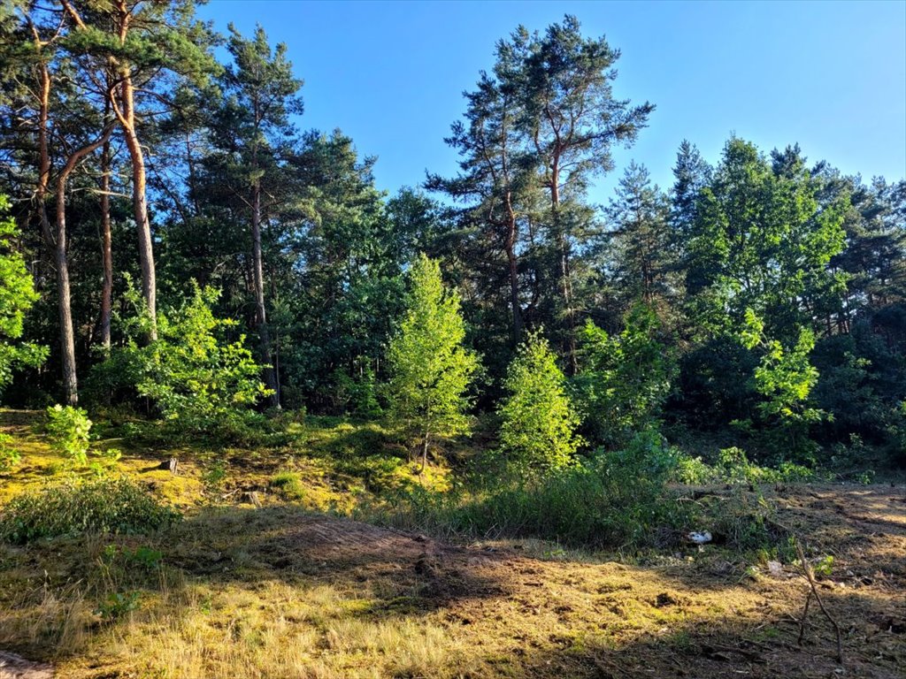 Działka budowlana na sprzedaż Kazuń-Bielany  1 000m2 Foto 4