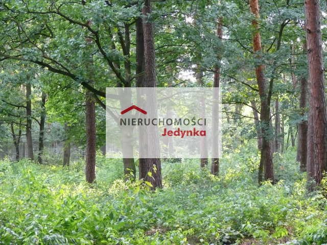 Działka budowlana na sprzedaż Otwock 3 450m2 Foto 1 Działka budowlana na sprzedaż Otwock 3 450m2 Foto 1