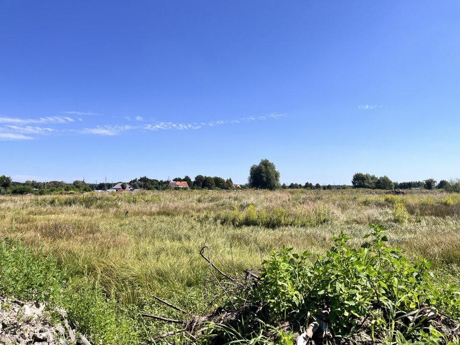 Działka budowlana na sprzedaż Zieleniewo  997m2 Foto 5