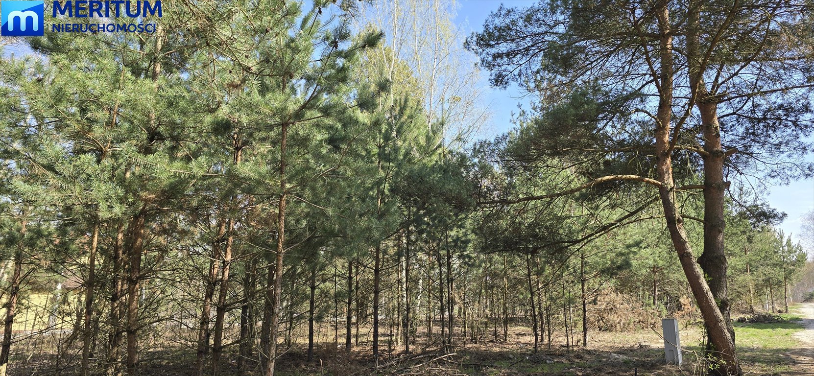 Działka 1500 m² w Radonii – spokojna okolica, media w zasięgu Radonie  1 500m2 Foto 1