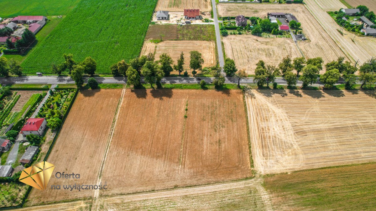 Działka budowlana na sprzedaż Krasienin-Kolonia  3 500m2 Foto 1