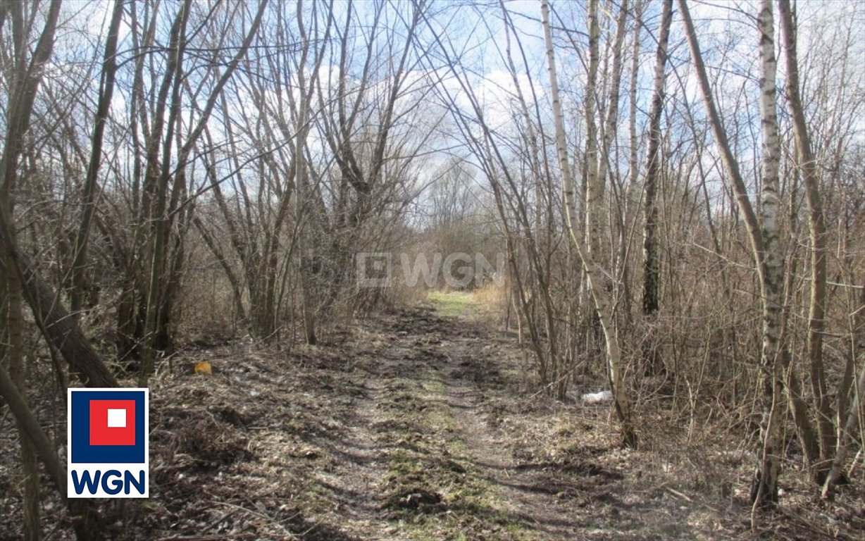 Działka budowlana na sprzedaż Zawiercie, Blanowice  18 106m2 Foto 14