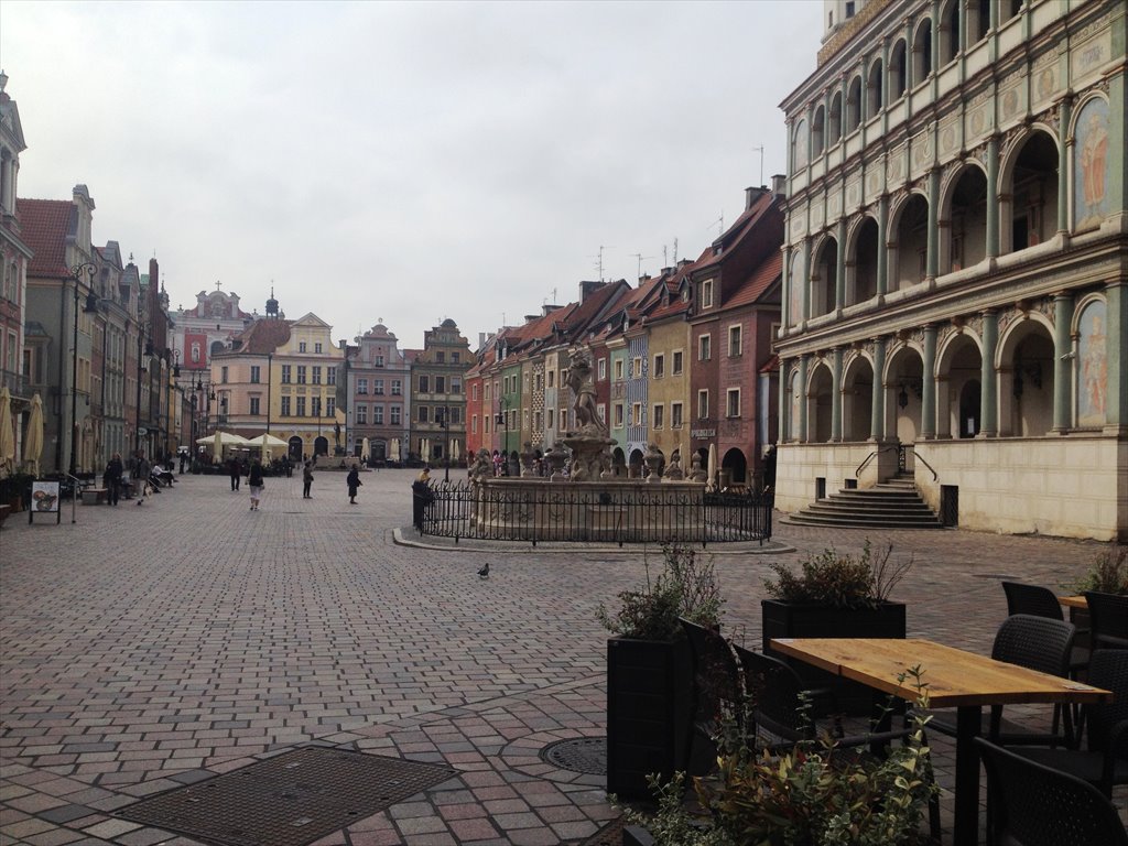 Kawalerka na wynajem Poznań, Centrum, garbary 71  40m2 Foto 2