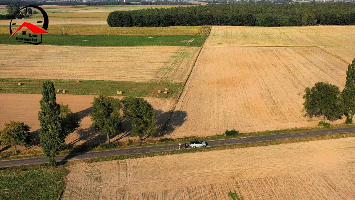 Działka gospodarstwo rolne na sprzedaż Twierdziń  3 000m2 Foto 10