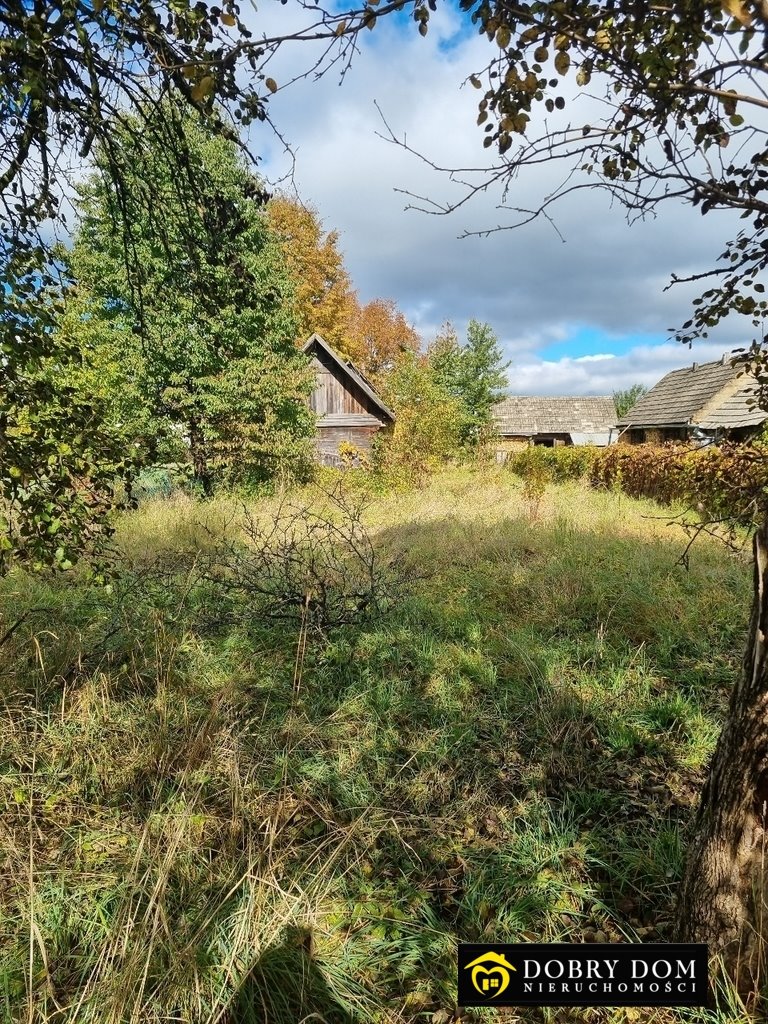 Dom na sprzedaż Białowieża  100m2 Foto 4