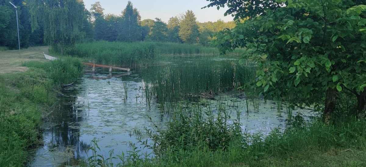 Lokal użytkowy na sprzedaż Tartak  52 600m2 Foto 14
