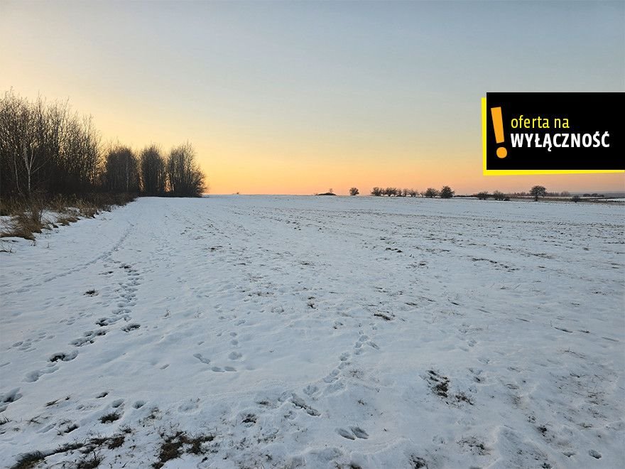 Grunt rolny 3,54 ha z panoramicznym widokiem, Borzymów Borzymów  35 400m2 Foto 1