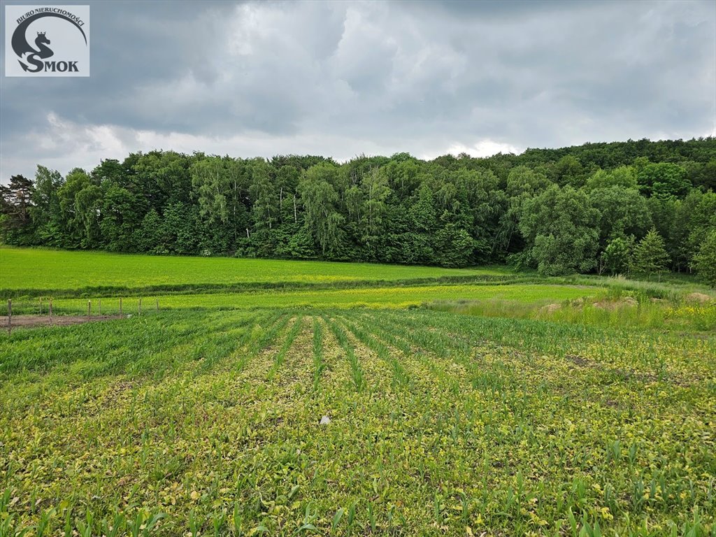 Działka budowlana na sprzedaż Goszyce  1 070m2 Foto 2