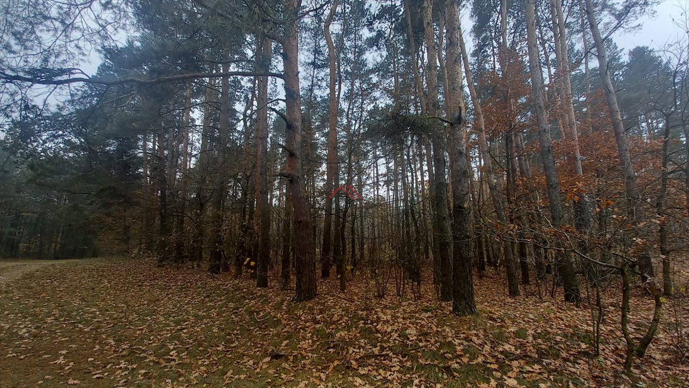 Działka budowlana na sprzedaż Brodnica, Kominy  1 939m2 Foto 6