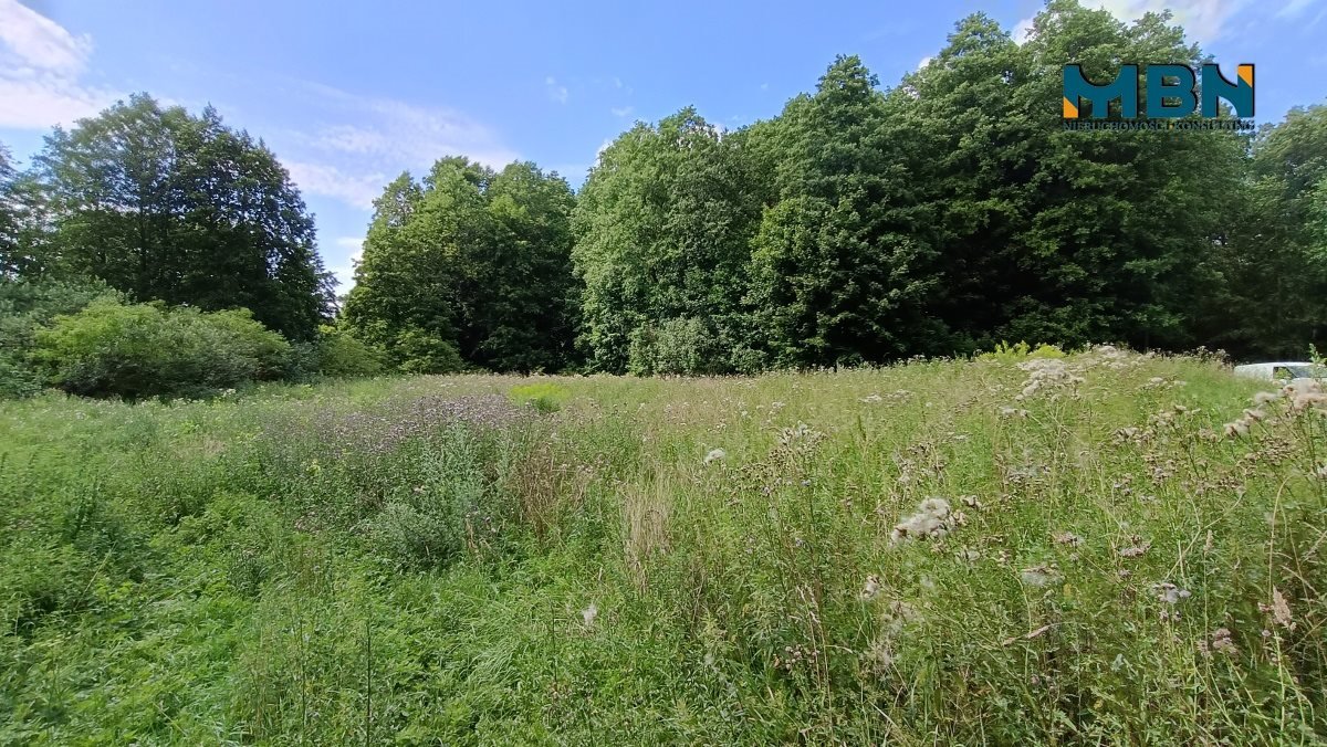 Działka rolna na sprzedaż Pozezdrze, Pieczarki  1 300m2 Foto 7