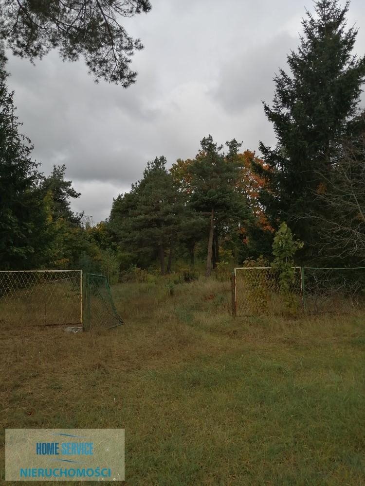 Działka pod zabudowę 8642 m2 z mediami, 11 działek Czeremcha, Sportowa  8 642m2 Foto 1