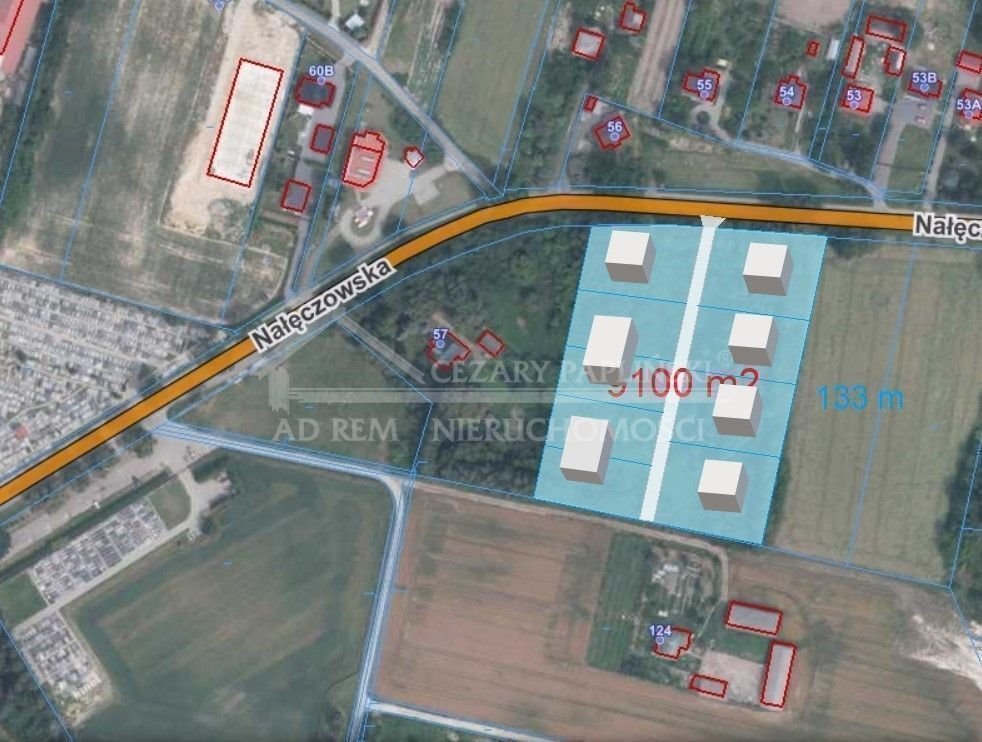 Sprzedam działkę 9100 m² z możliwością podziału w Tomaszowicach Tomaszowice-Kolonia, Tomaszowice Kolonia  9 100m2 Foto 1