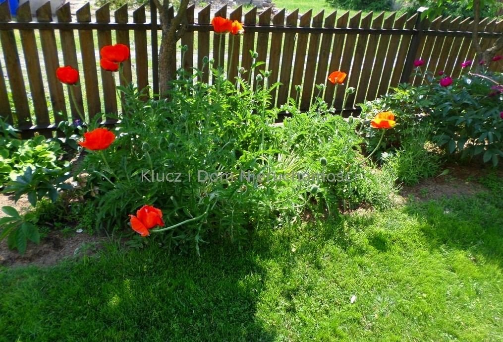 Działka pod zabudowę 1900 m² z mediami, ogrodzona, Pruszków Pruszków  1 900m2 Foto 1