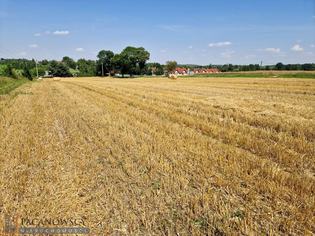 Działka budowlana na sprzedaż Wilczkowice  9 121m2 Foto 2