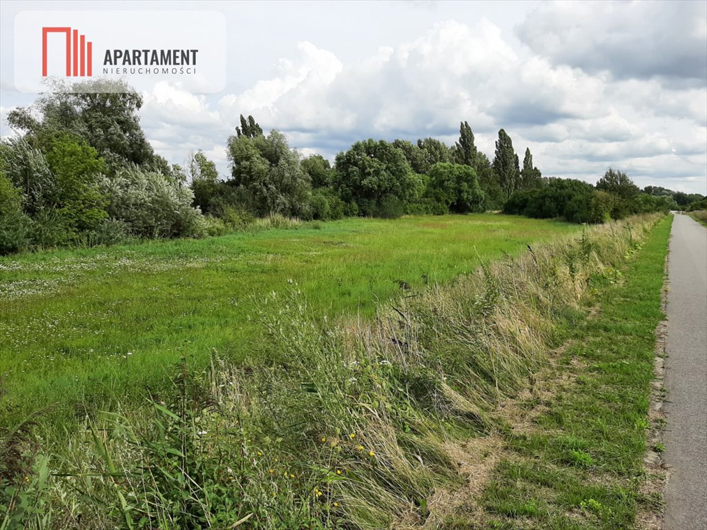 Działka gospodarstwo rolne na sprzedaż Żnin  1 700m2 Foto 1