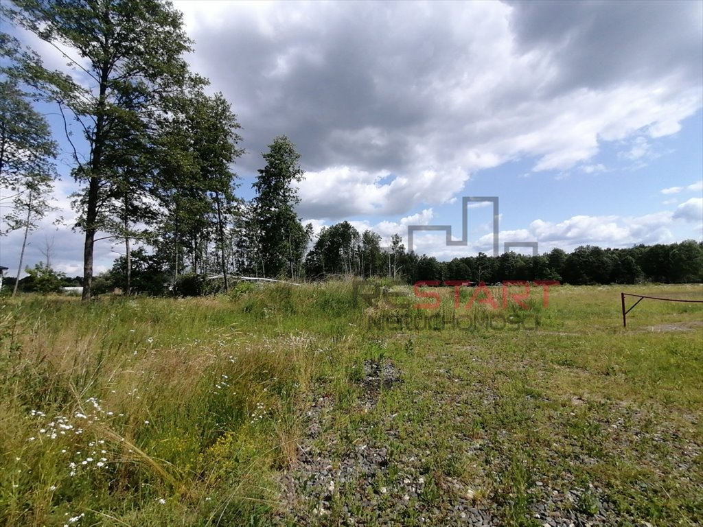 Działka 5994 m2 z mediami, cicha okolica, Sade Budy Sade Budy  5 994m2 Foto 1