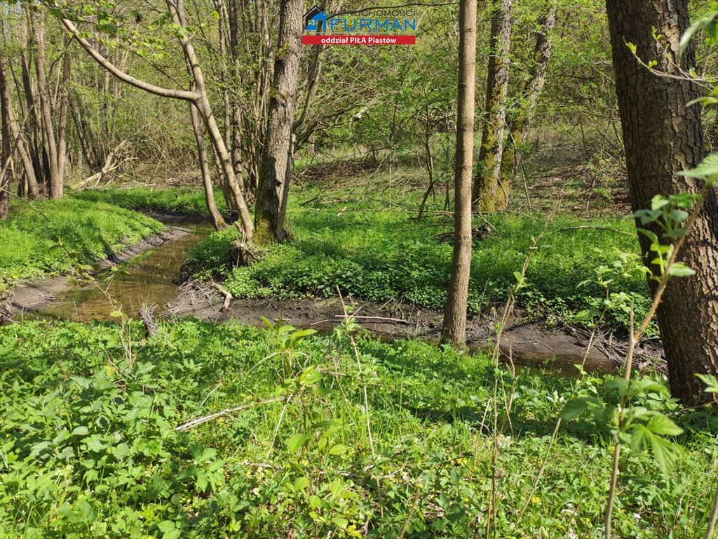 Działka rekreacyjna na sprzedaż Śmiłowo  2 745m2 Foto 9