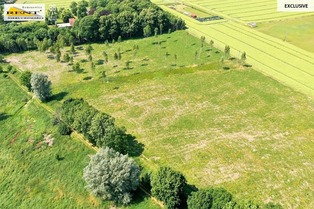 Działka budowlana na sprzedaż Ninikowo  1 547m2 Foto 4