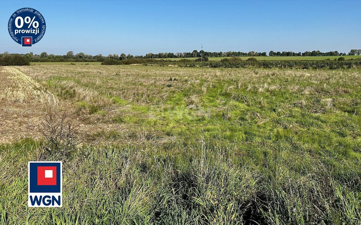 Działka rekreacyjna na sprzedaż Duninowo, Prosta  5 343m2 Foto 10