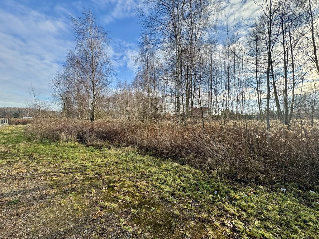 Działka budowlana na sprzedaż Borowina  2 200m2 Foto 1