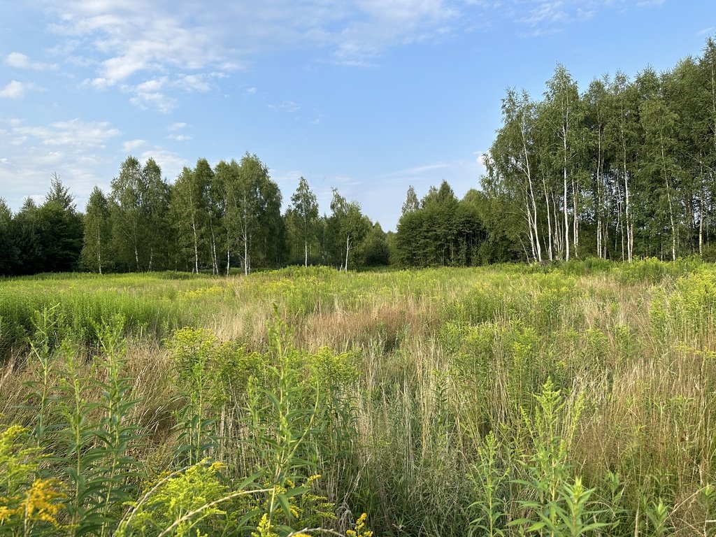 Działka inna na sprzedaż Krzywa  995m2 Foto 3