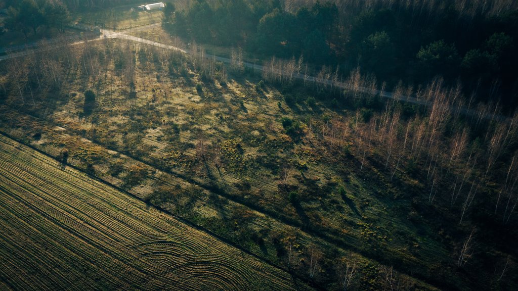 Działka budowlana na sprzedaż Konarzew  1 490m2 Foto 6