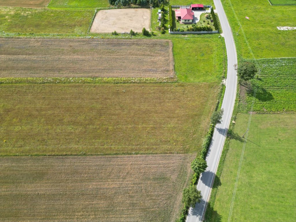 Działka przemysłowo-handlowa na sprzedaż Tokary, Przodkowska  1 100m2 Foto 2