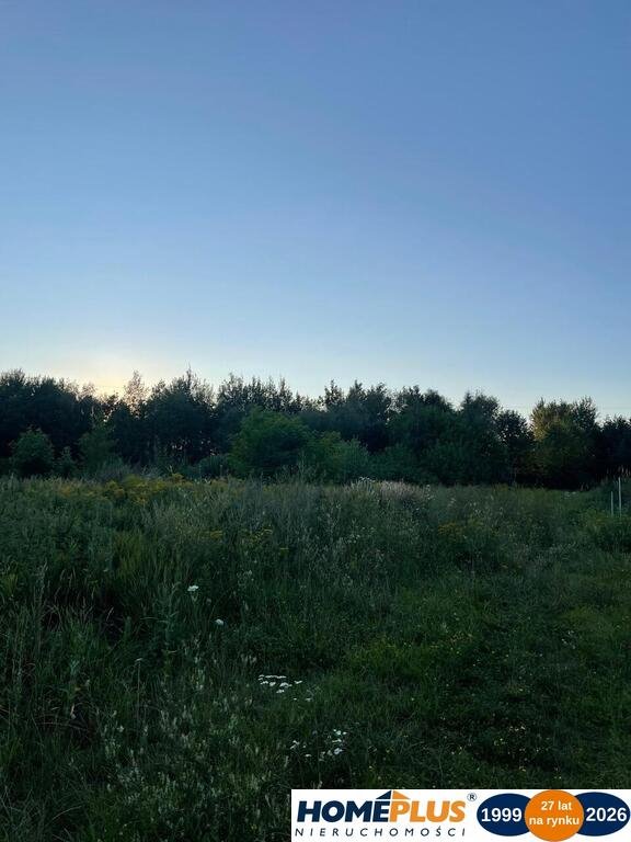 Zdjęcie 4