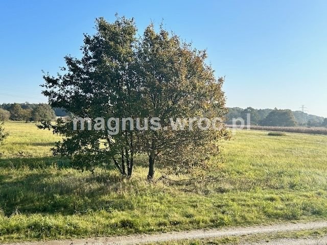 Działka inwestycyjna na sprzedaż Wrocław, Psie Pole, Kowale, okolice Lechitów  1 126m2 Foto 14