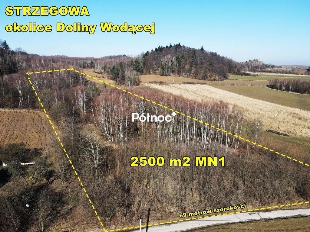 Działka 1,88 ha w Jurajskim Parku z widokiem i uzbrojeniem Strzegowa  18 758m2 Foto 1