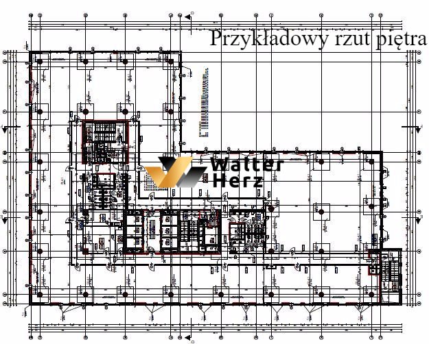 Lokal użytkowy na wynajem Lublin, Nałęczowska  664m2 Foto 7