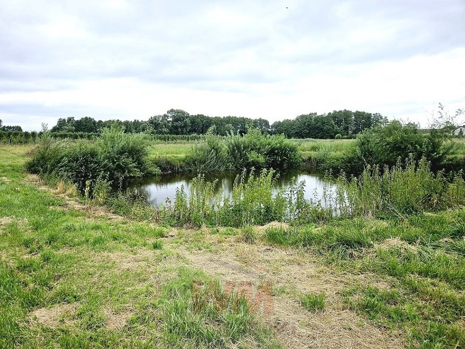 Działka siedliskowa na sprzedaż Jasieniec  39 500m2 Foto 16