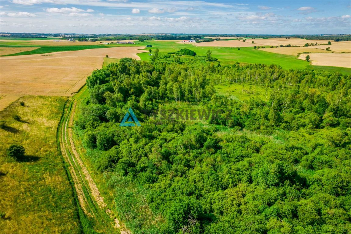 Działka rolna na sprzedaż Ciechocin  6 400m2 Foto 5