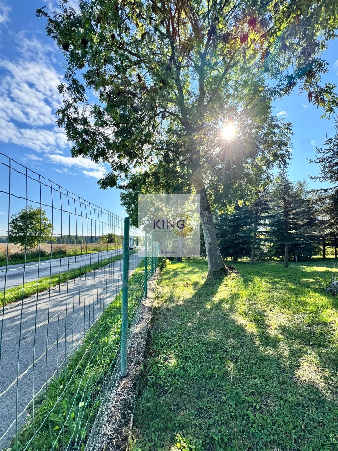 Działka budowlana 1739 m² z drzewami i media w Gryfinie Gryfino  1 739m2 Foto 1