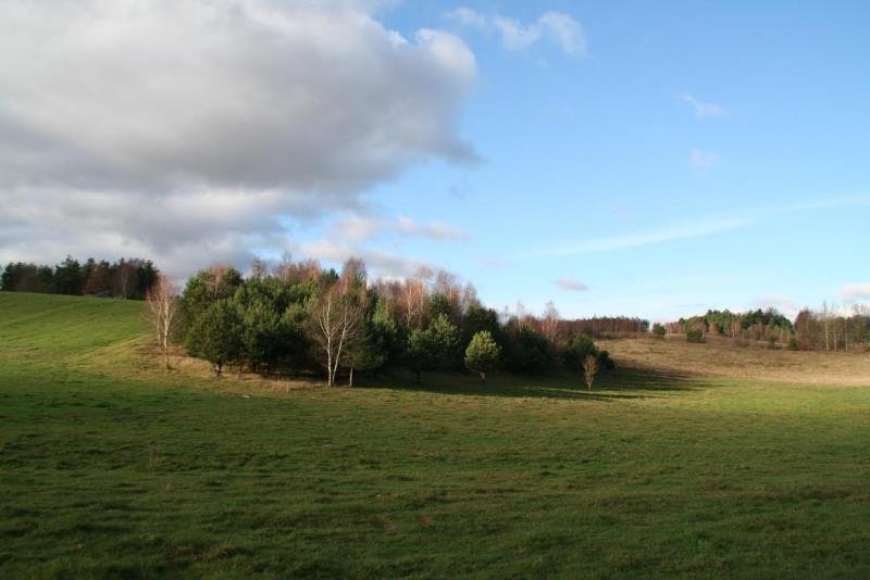 Działka inna na sprzedaż Borzestowo, bez nazwy  43 288m2 Foto 1